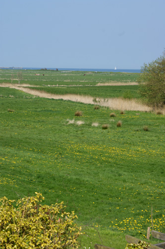 Schöne Aussicht