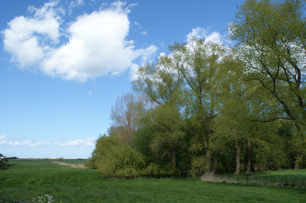 Ausblick ins Grüne